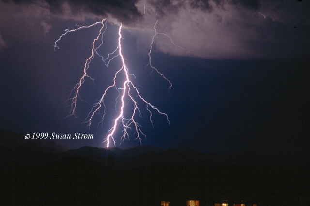 Nature Force Pic  71