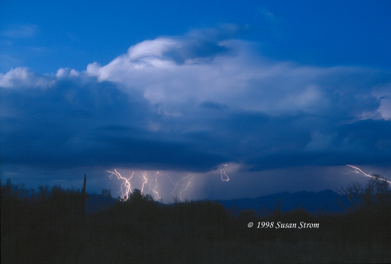 Nature Force Pic  73