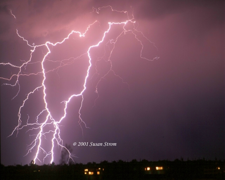 Nature Force Pic  75