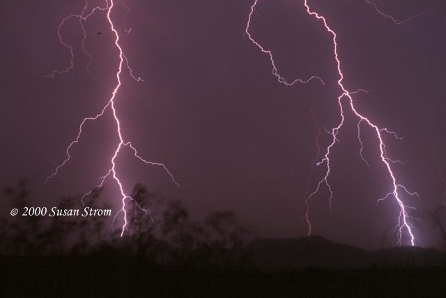 Nature Force Pic  77