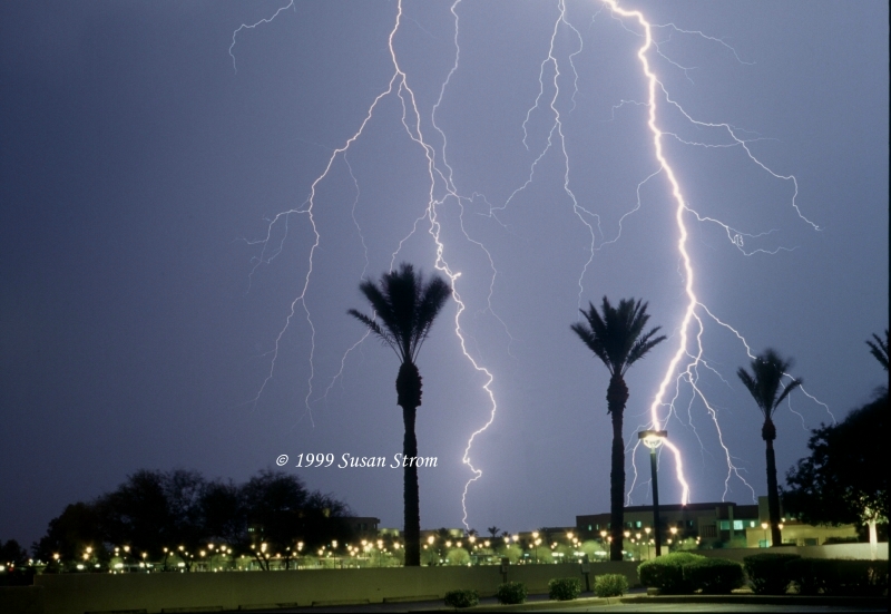 Nature Force Pic  78