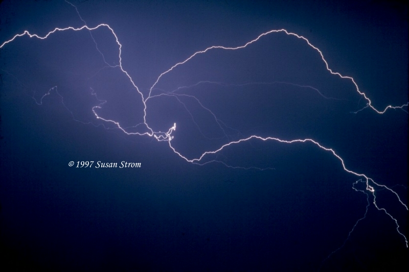 Nature Force Pic  79