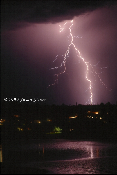 Nature Force Pic  82