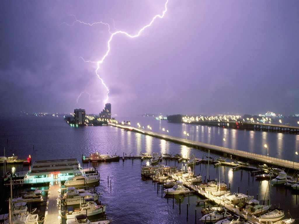 Nature Force Pic  9