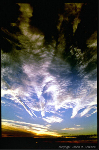 Nature Force Pic  90