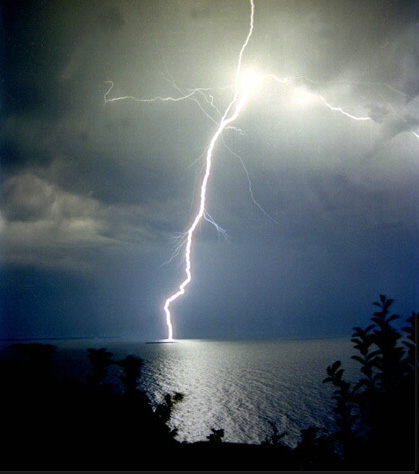 Nature Force Pic  91