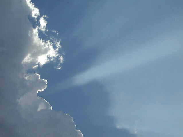 Nature Force Pic  92
