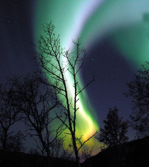 Nature Force Pic  95