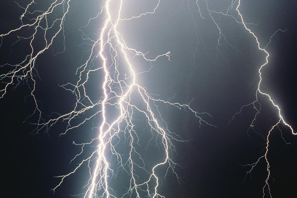 Nature Force Pic  96
