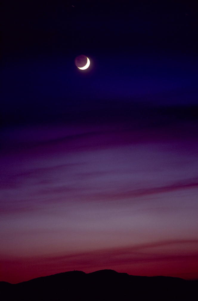 Nature Force Pic  97