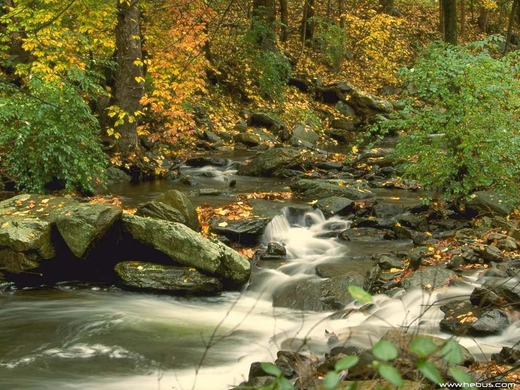 Nature Pic  1