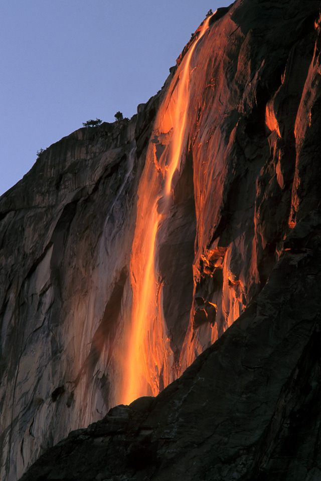 Nature Pic  1007