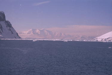 Nature Pic  1008