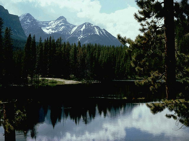 Nature Pic  1011