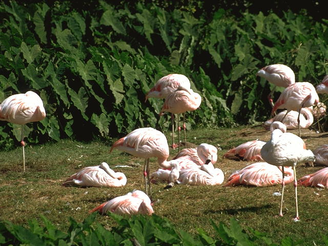 Nature Pic  1020