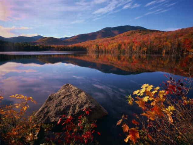 Nature Pic  1051