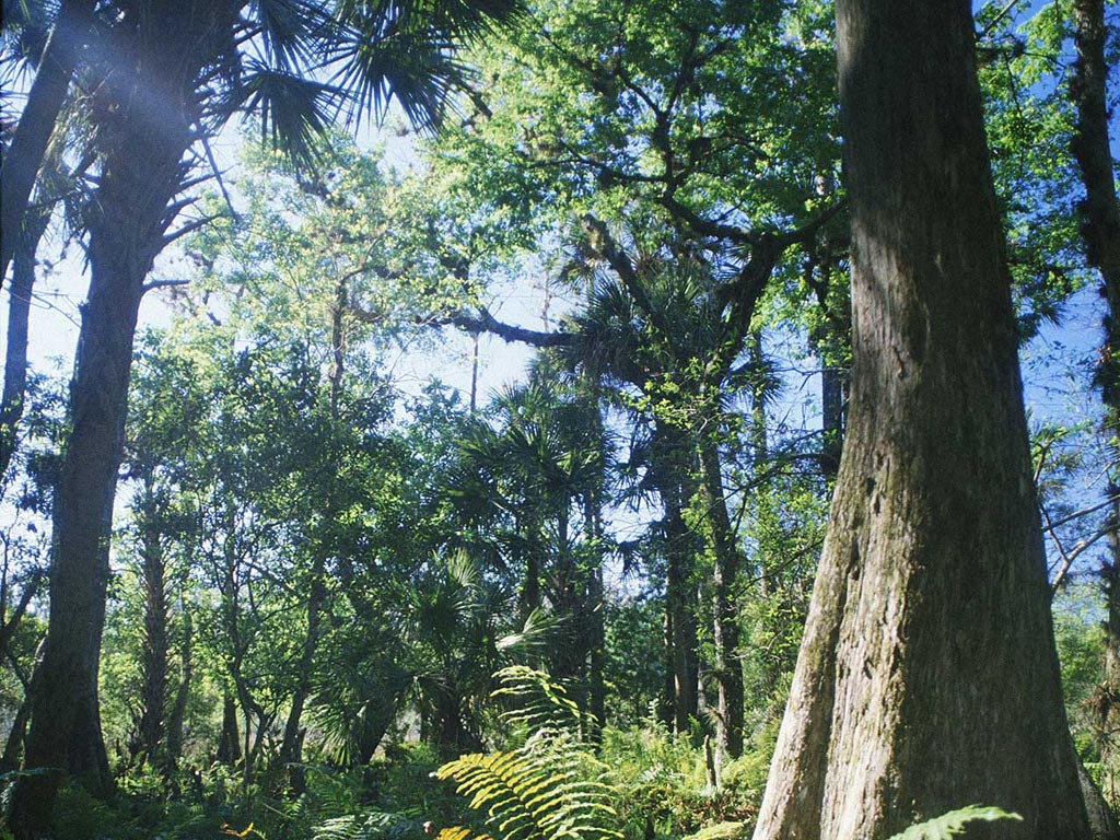 Nature Pic  1070