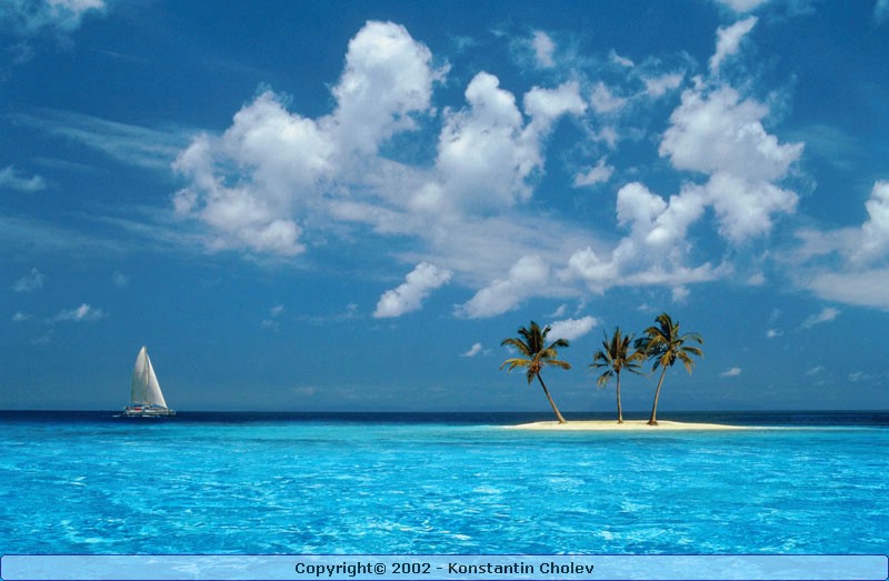 Nature Pic  108