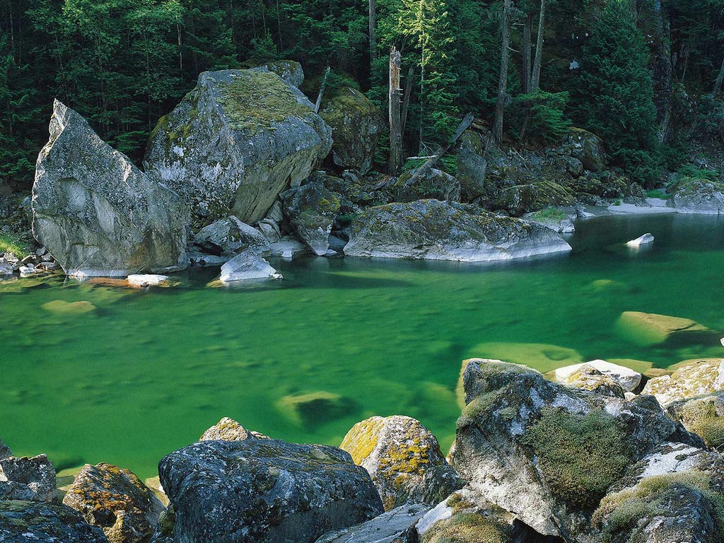 Nature Pic  1091
