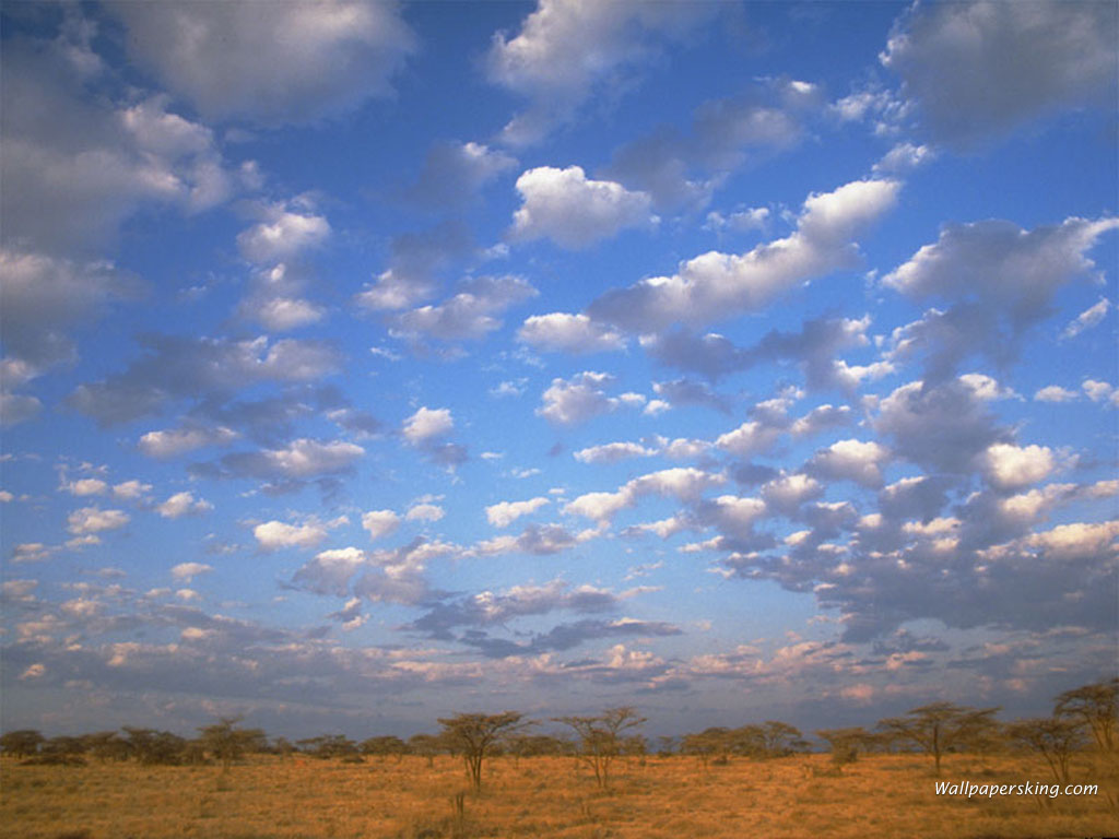 Nature Pic  11
