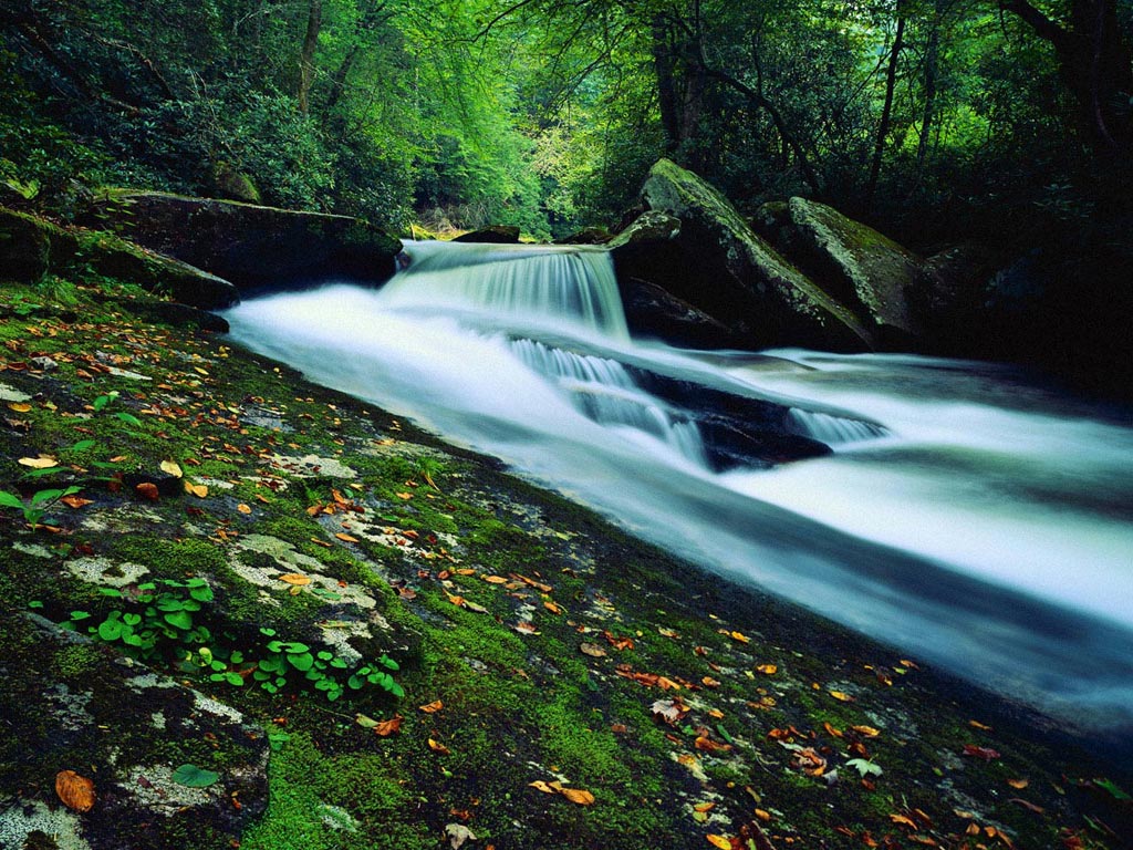 Nature Pic  1106