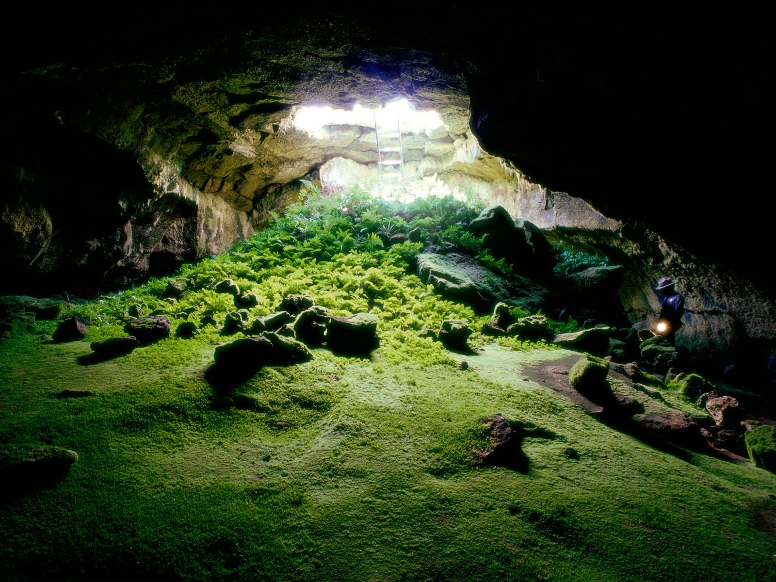 Nature Pic  1135
