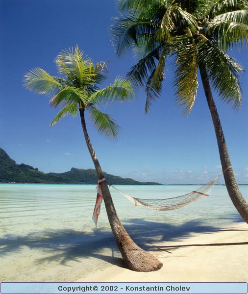 Nature Pic  114