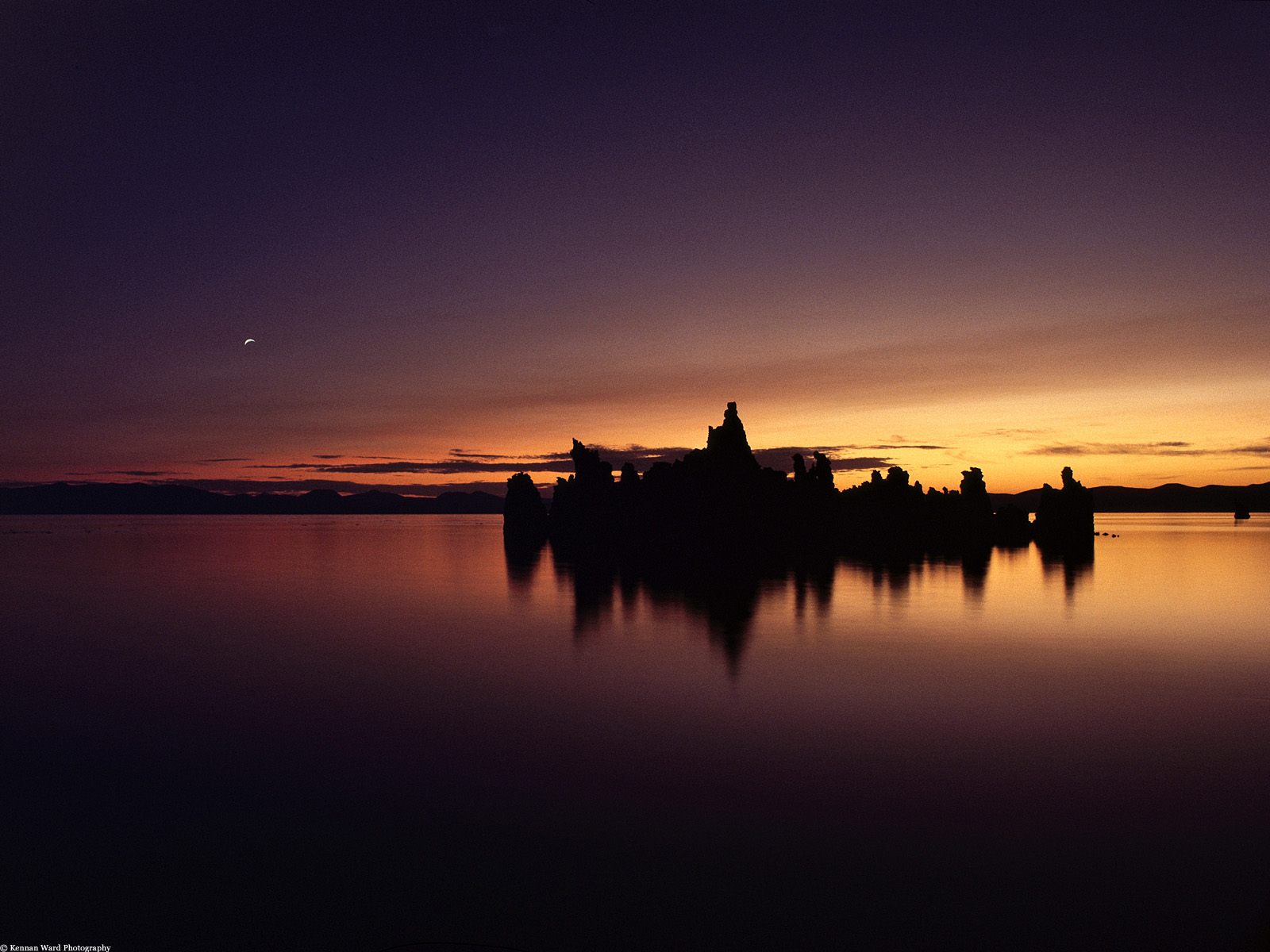 Nature Pic  1142
