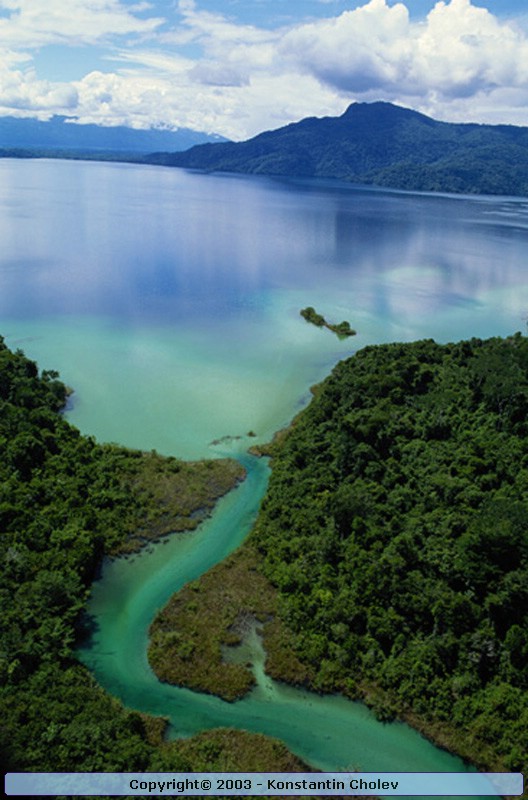Nature Pic  115