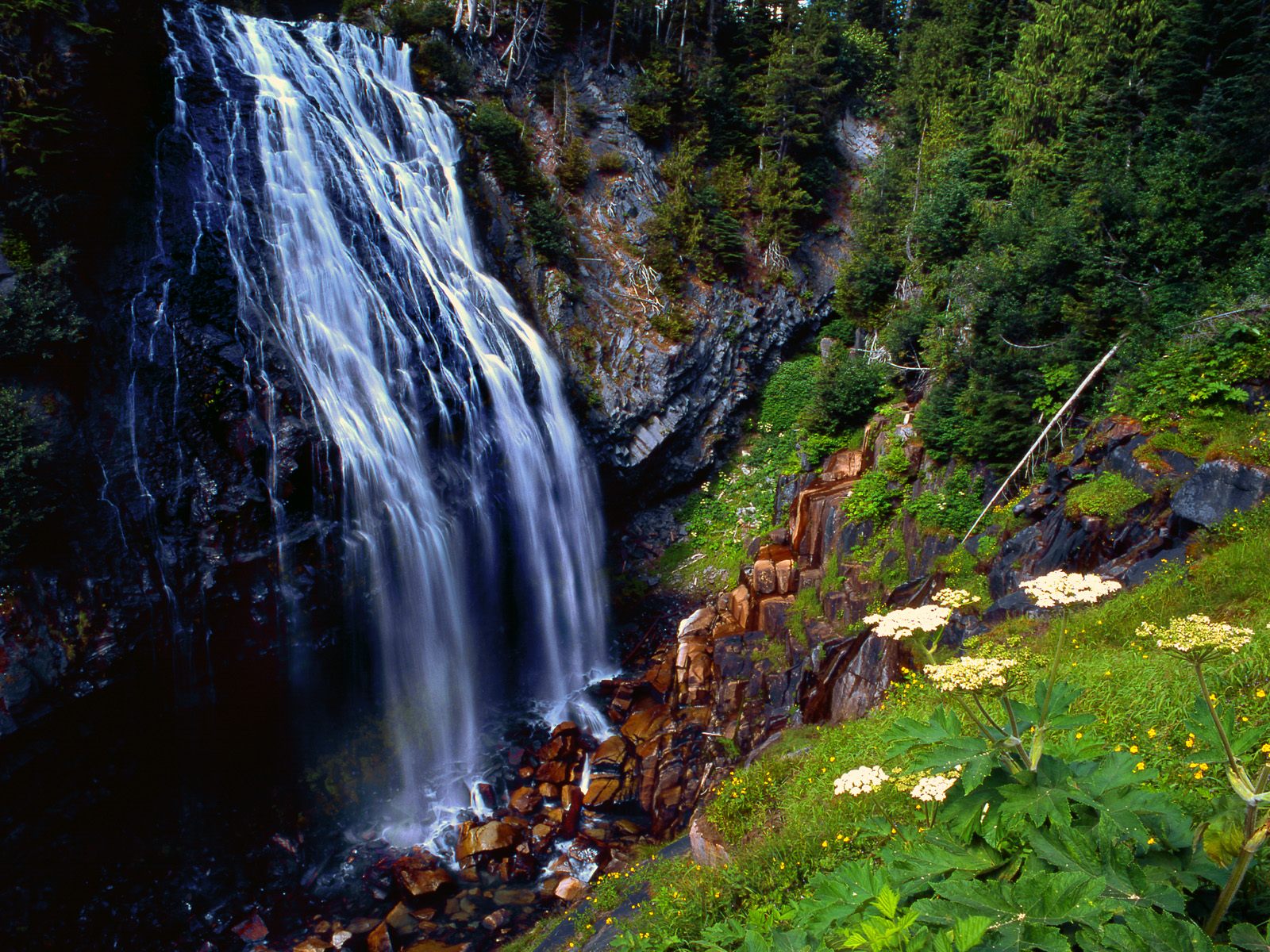 Nature Pic  1150