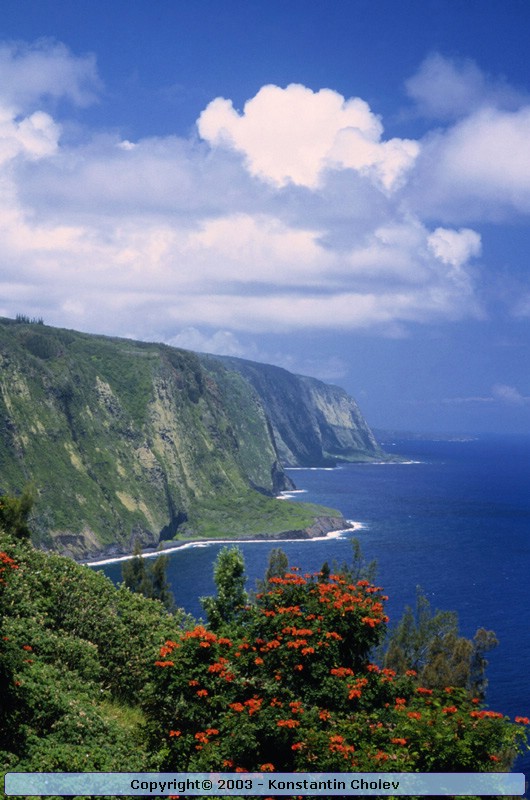 Nature Pic  116