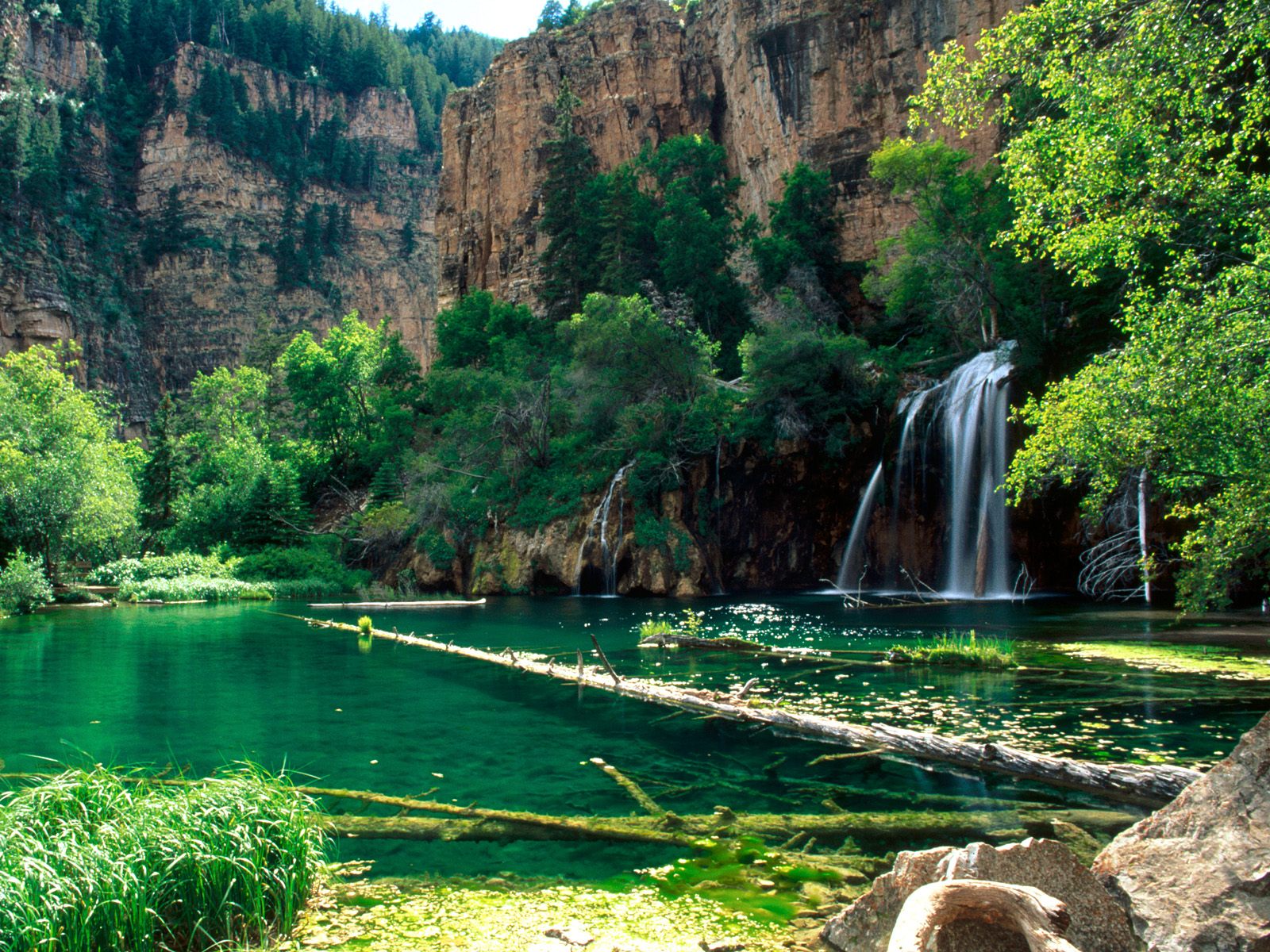 Nature Pic  1180