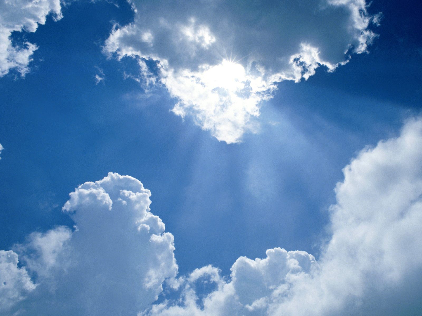 Nature Pic  1190