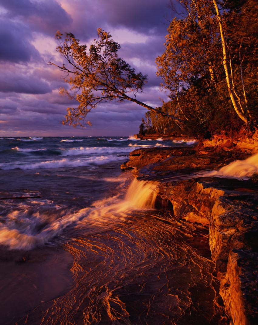 Nature Pic  120