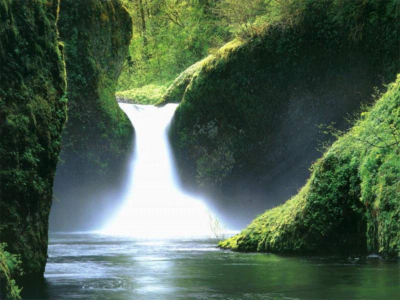 Nature Pic  1208