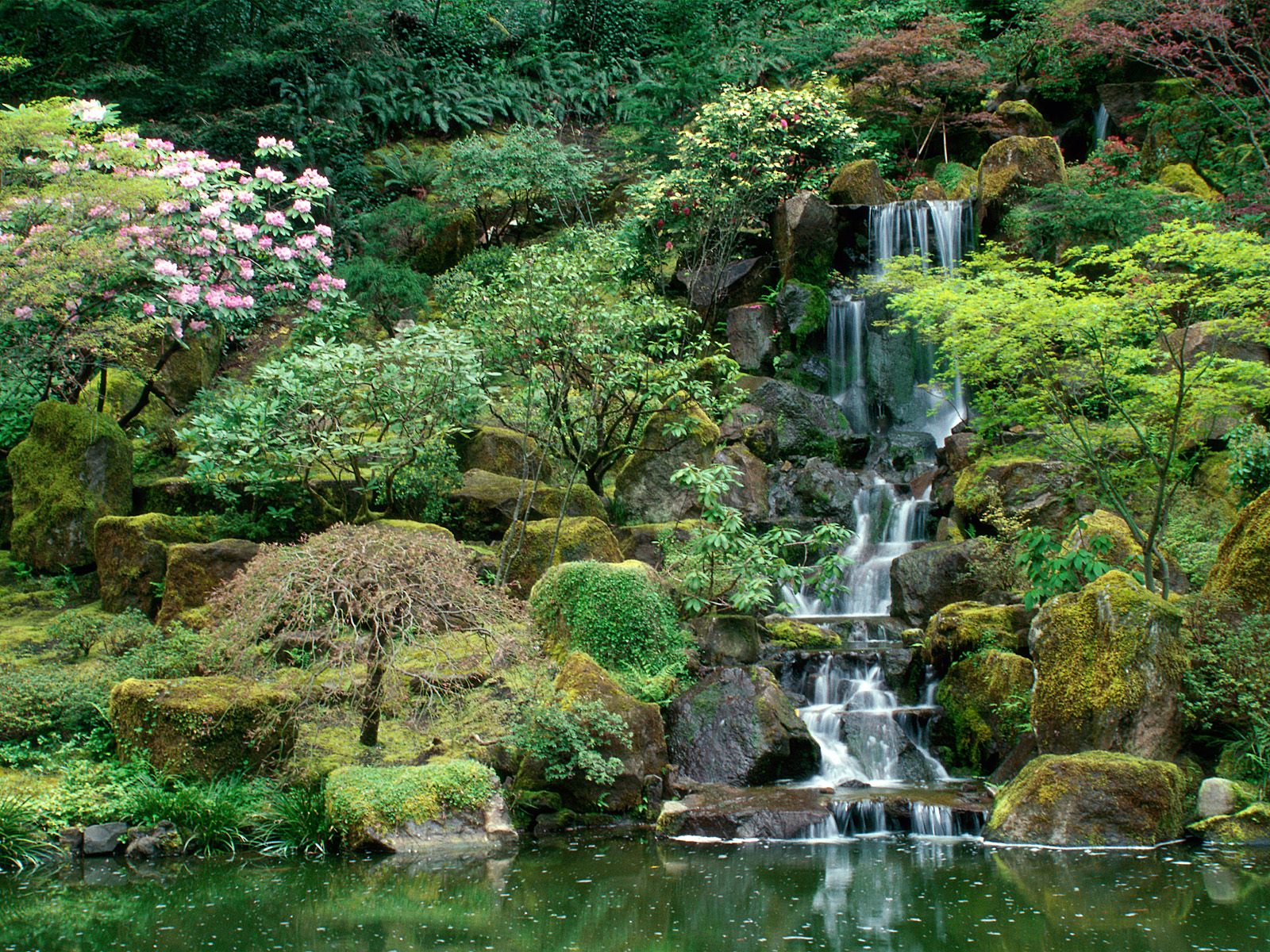 Nature Pic  1213