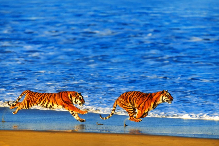 Nature Pic  124