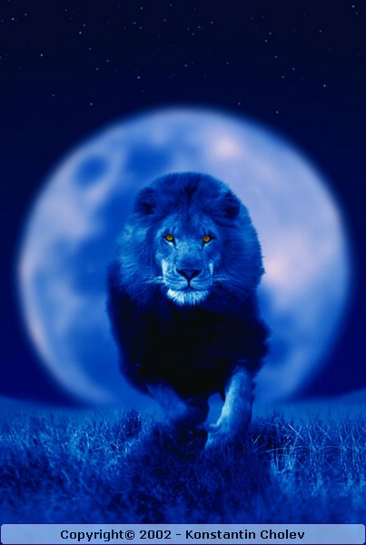 Nature Pic  125