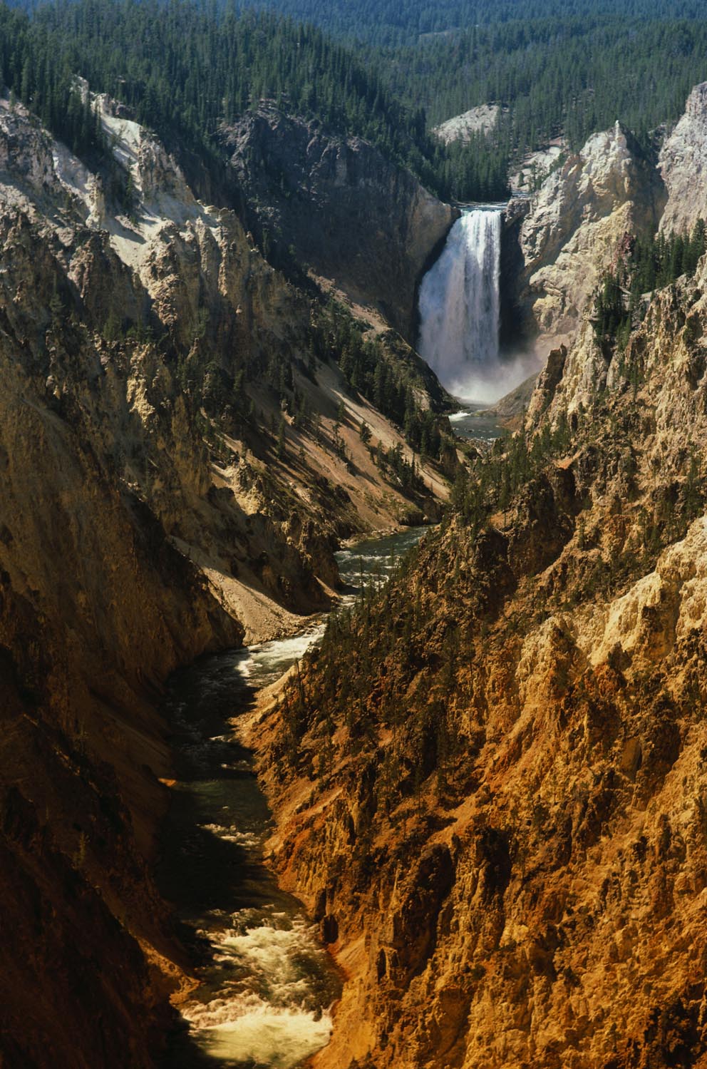 Nature Pic  127