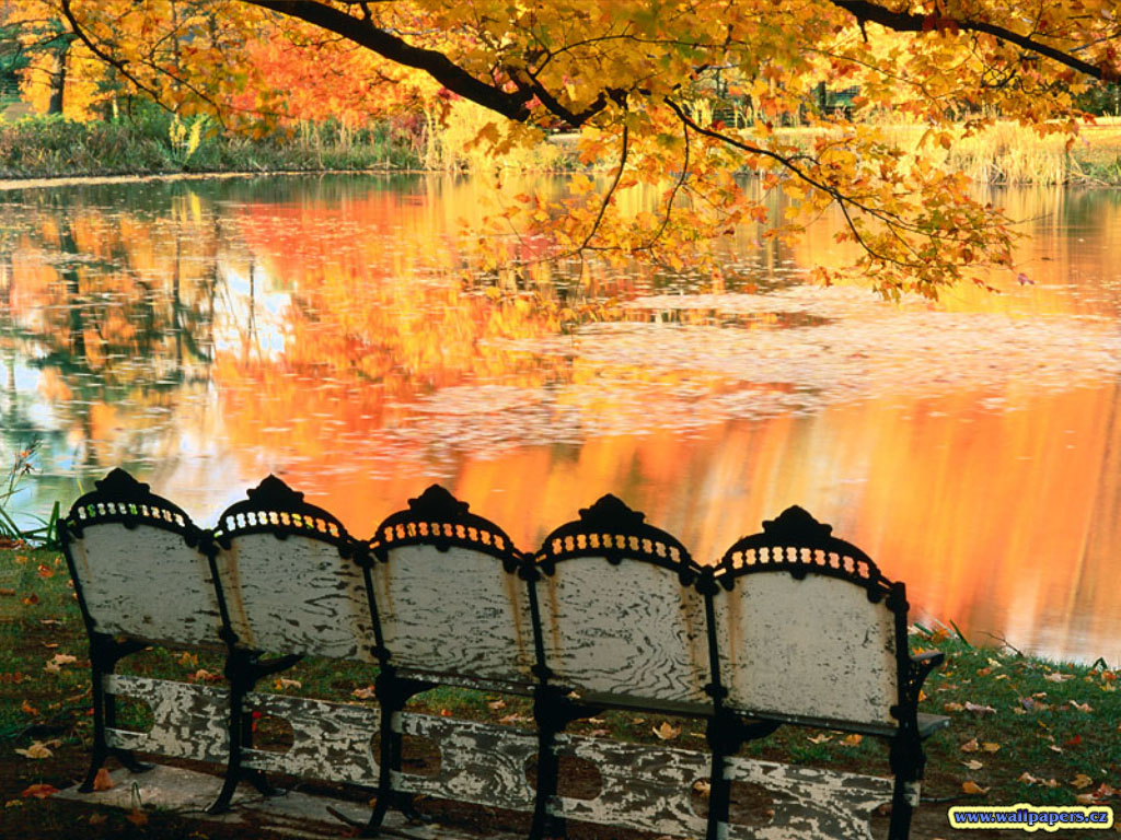 Nature Pic  1302