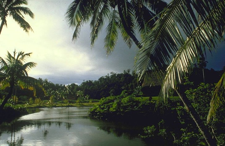 Nature Pic  1307