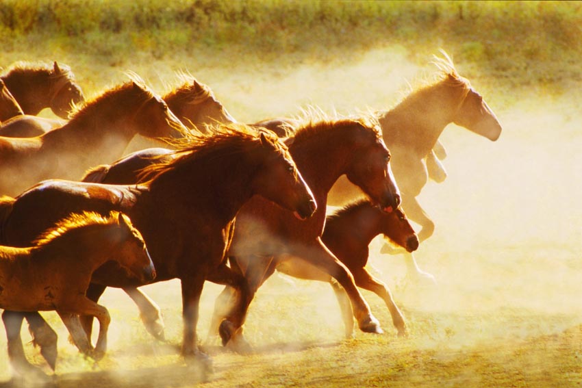 Nature Pic  131