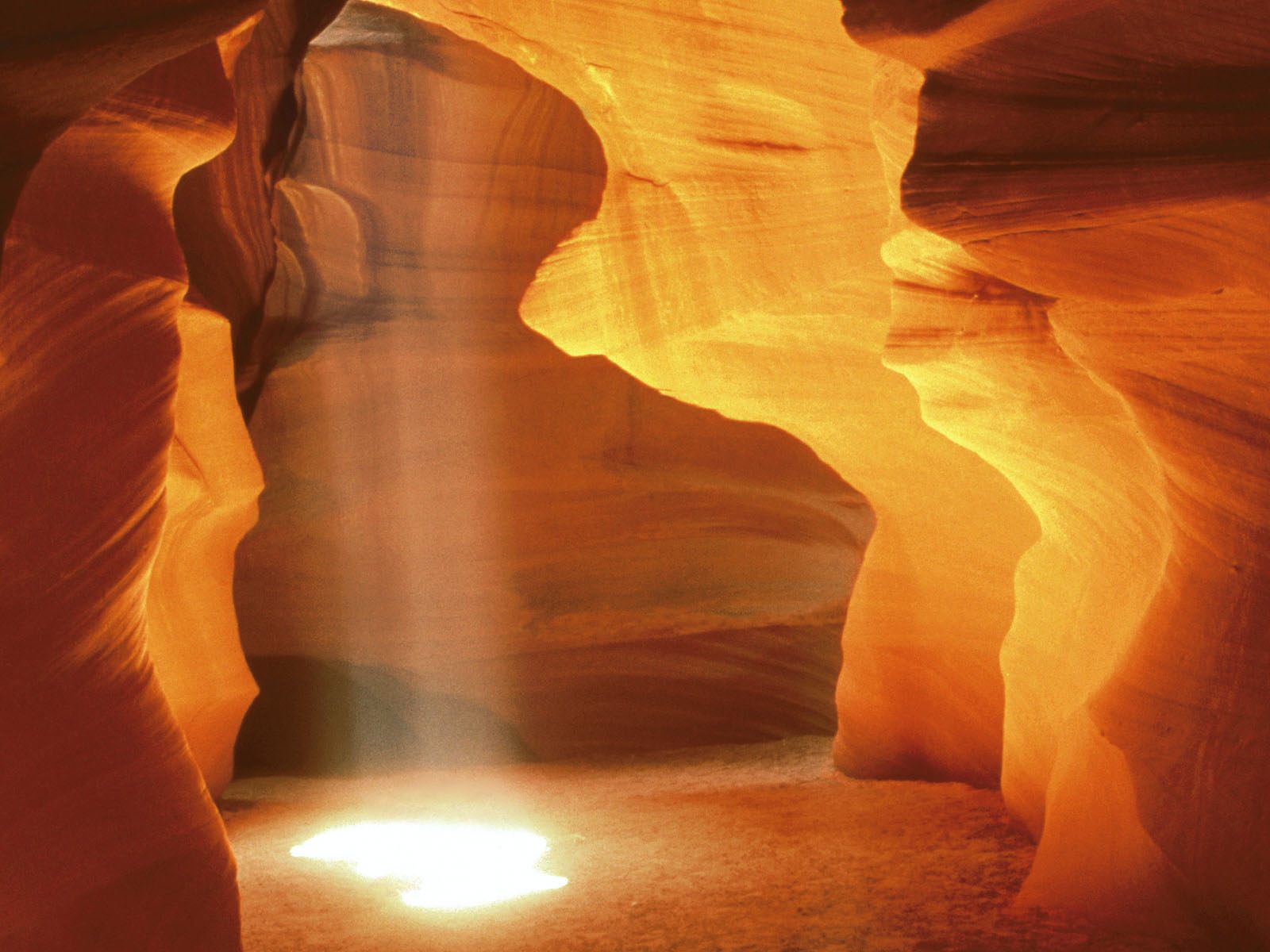 Nature Pic  1323