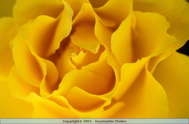Nature Pic  133