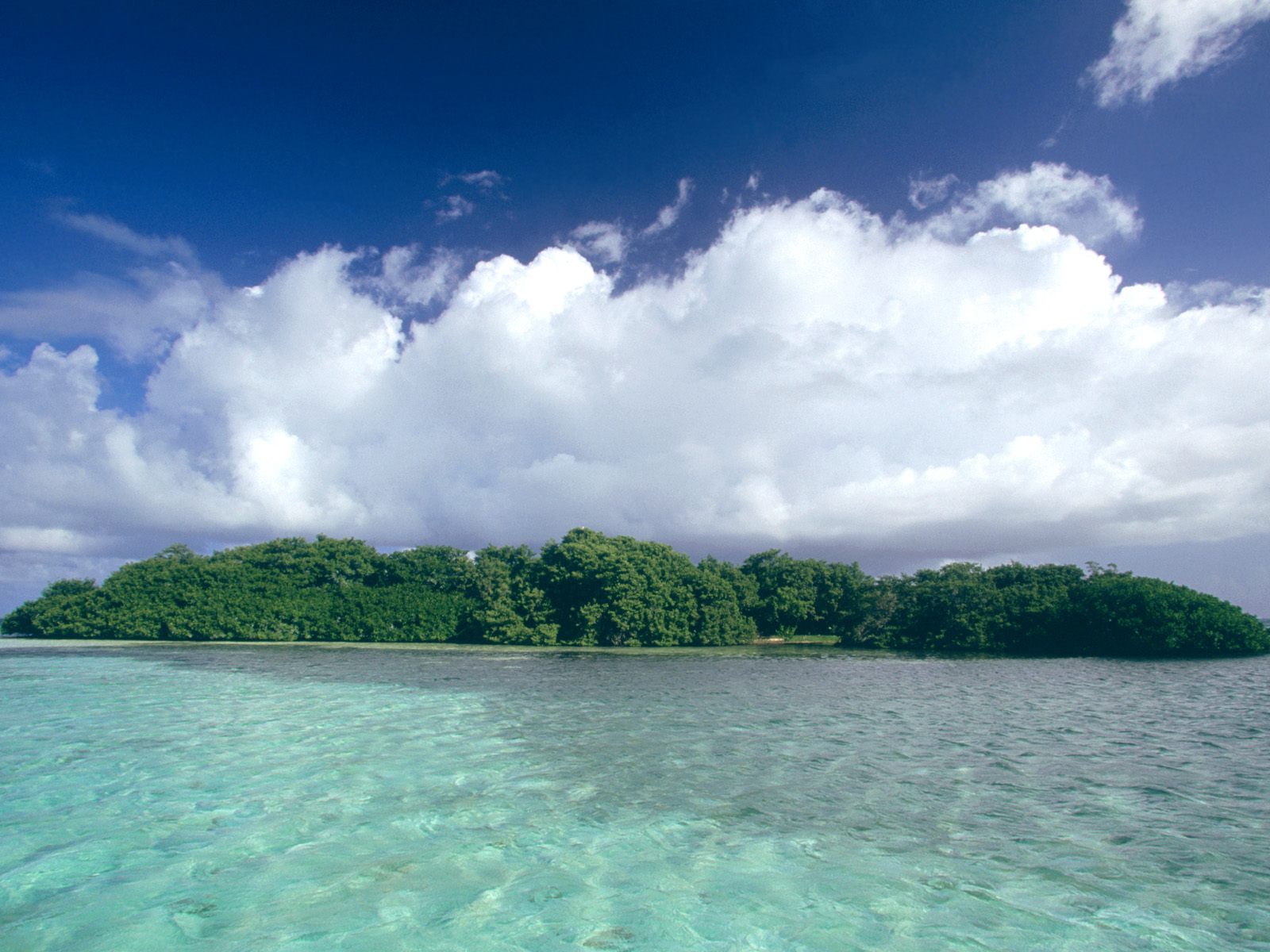Nature Pic  1338
