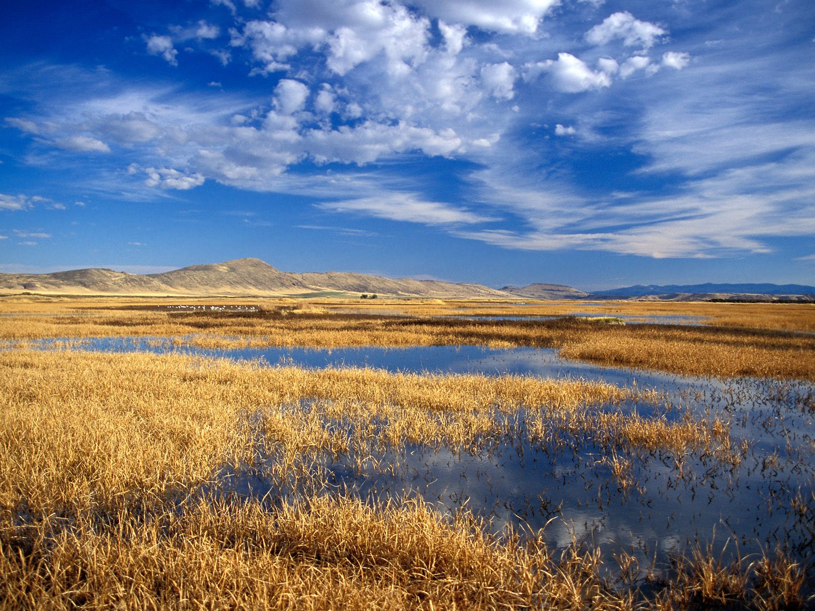Nature Pic  1344