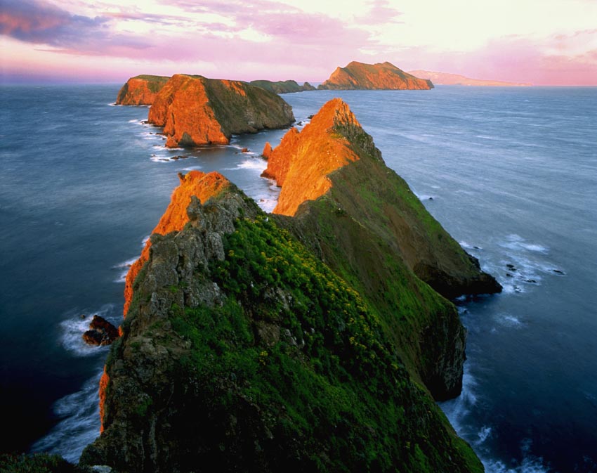 Nature Pic  139