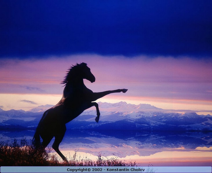 Nature Pic  142