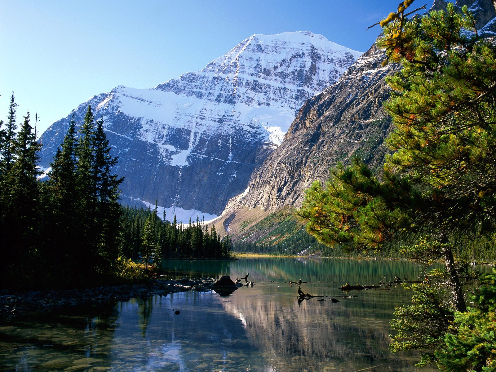 Nature Pic  1439