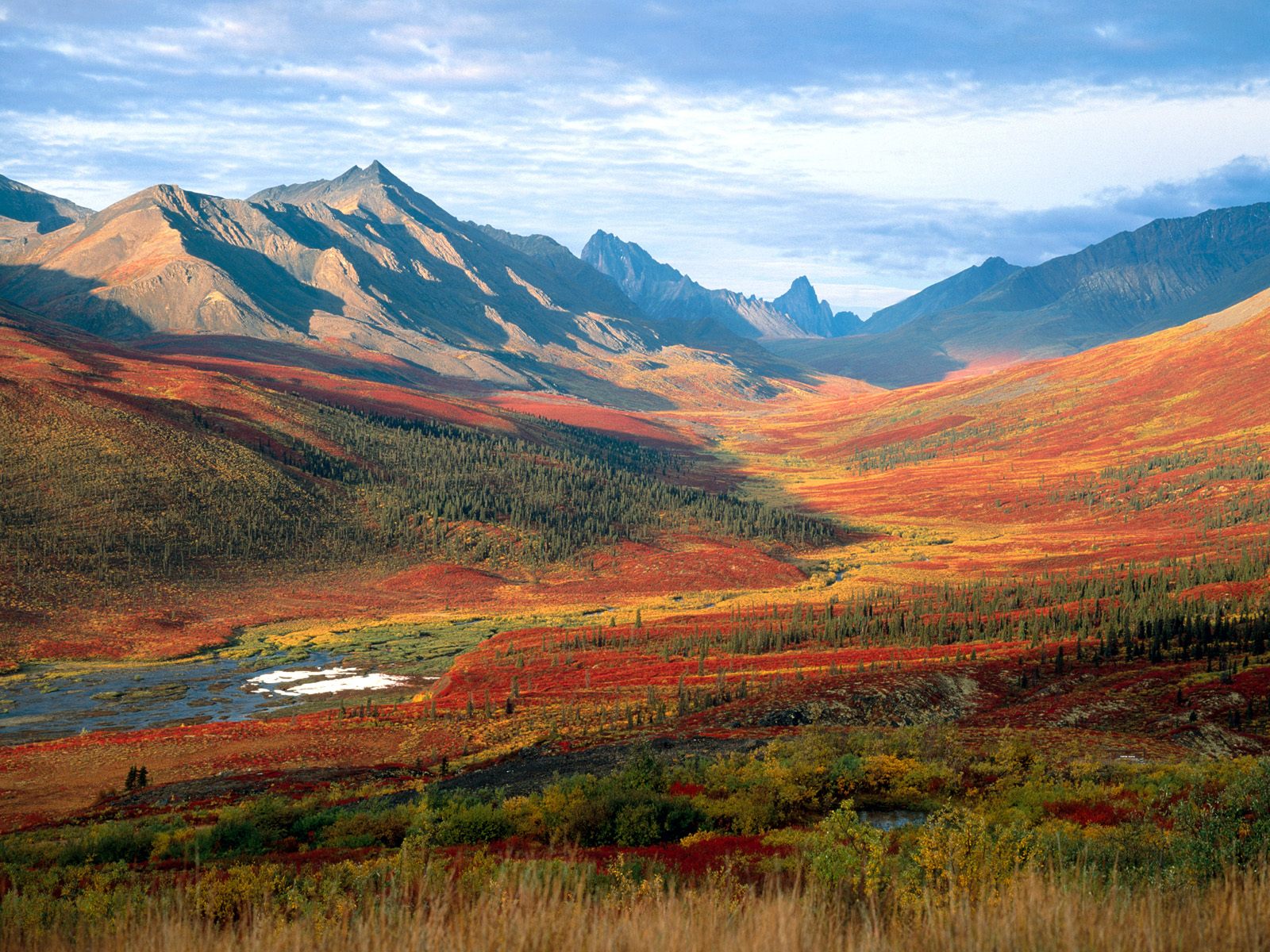Nature Pic  1453